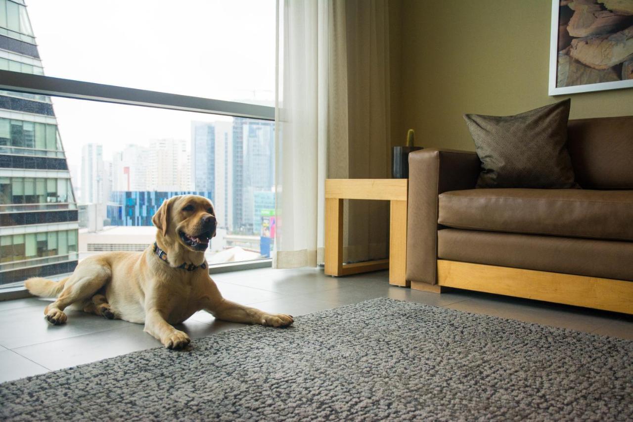 Stadia Suites Mexico City Santa Fe Exterior photo A dog on a carpet